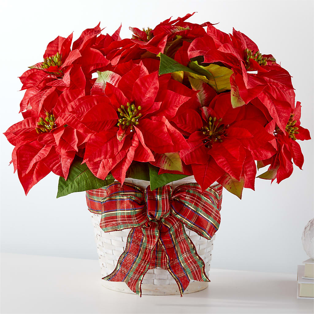 Happiest Holidays Poinsettia – RUTH'S FLOWERS AND GIFTS, Marshfield MO