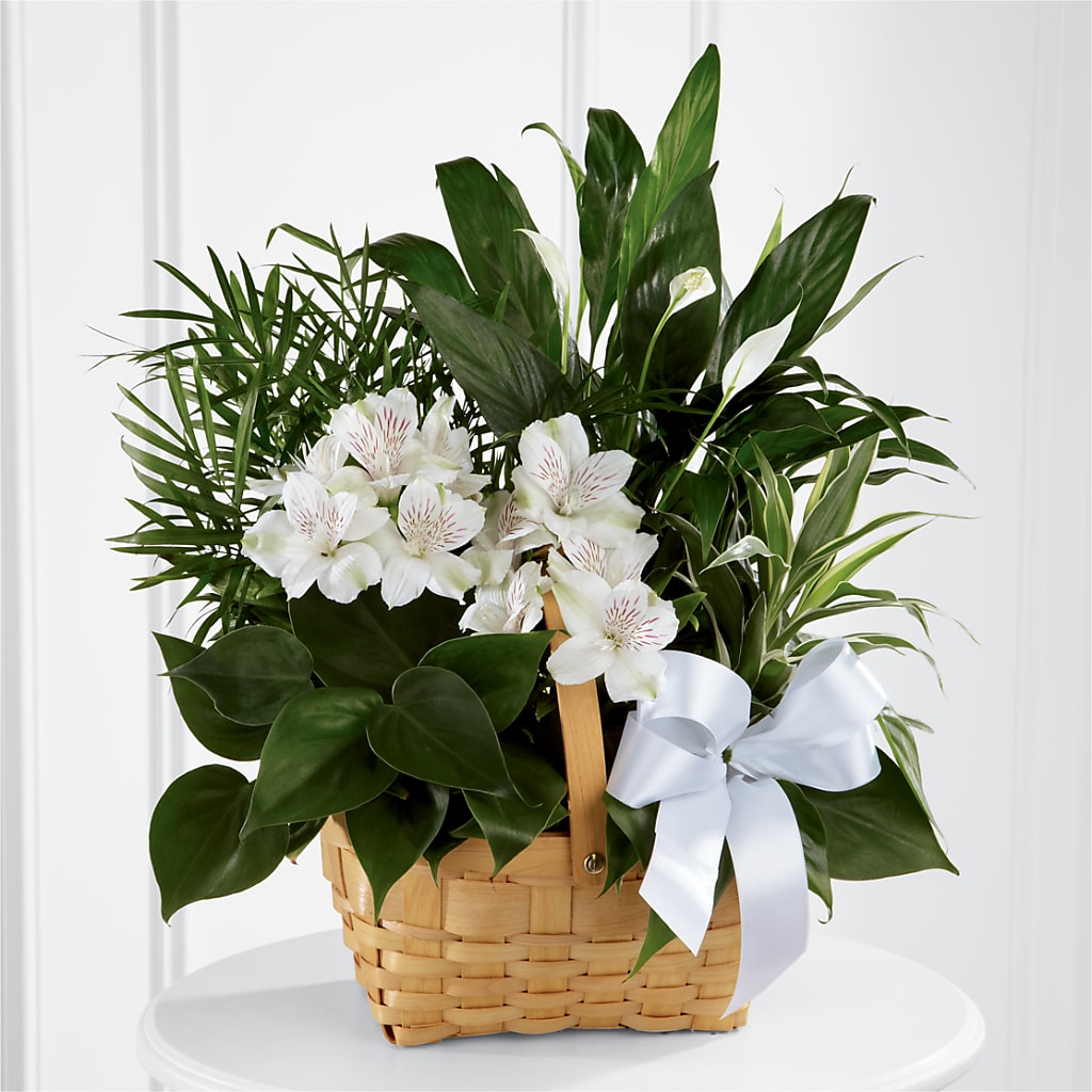 Peace & Serenity Dishgarden – RUTH'S FLOWERS AND GIFTS, Marshfield MO