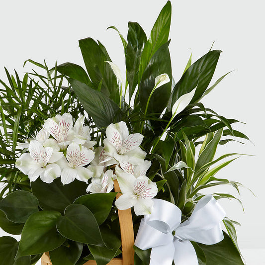 Peace & Serenity Dishgarden – RUTH'S FLOWERS AND GIFTS, Marshfield MO