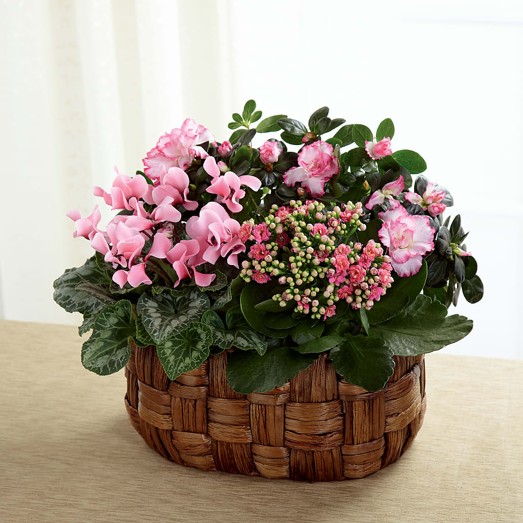 Pink Assortment – RUTH'S FLOWERS AND GIFTS, Marshfield MO