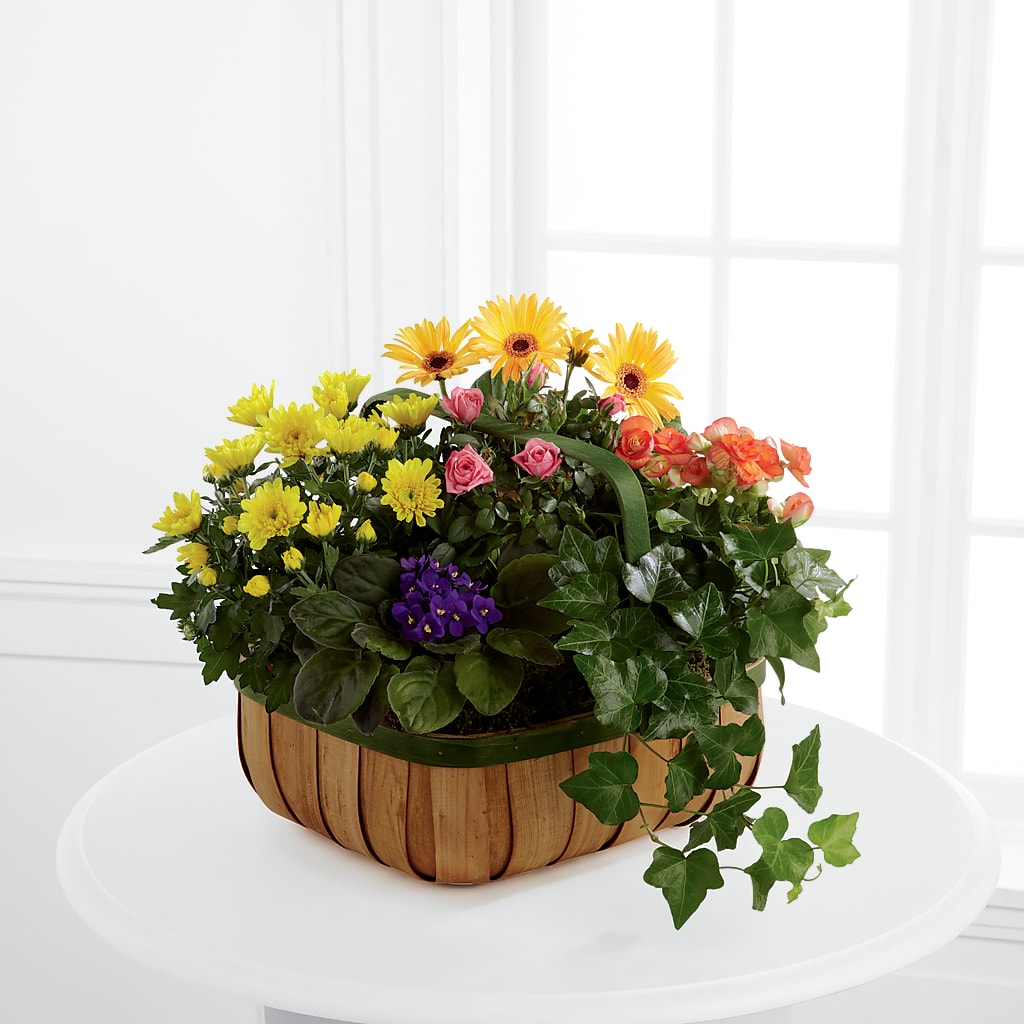 Gentle Blossoms Basket – RUTH'S FLOWERS AND GIFTS, Marshfield MO