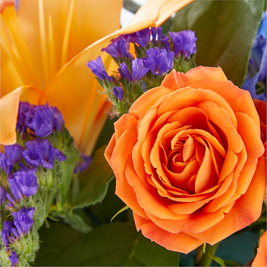 Radiant Citrus Box Bouquet – RUTH'S FLOWERS AND GIFTS, Marshfield MO