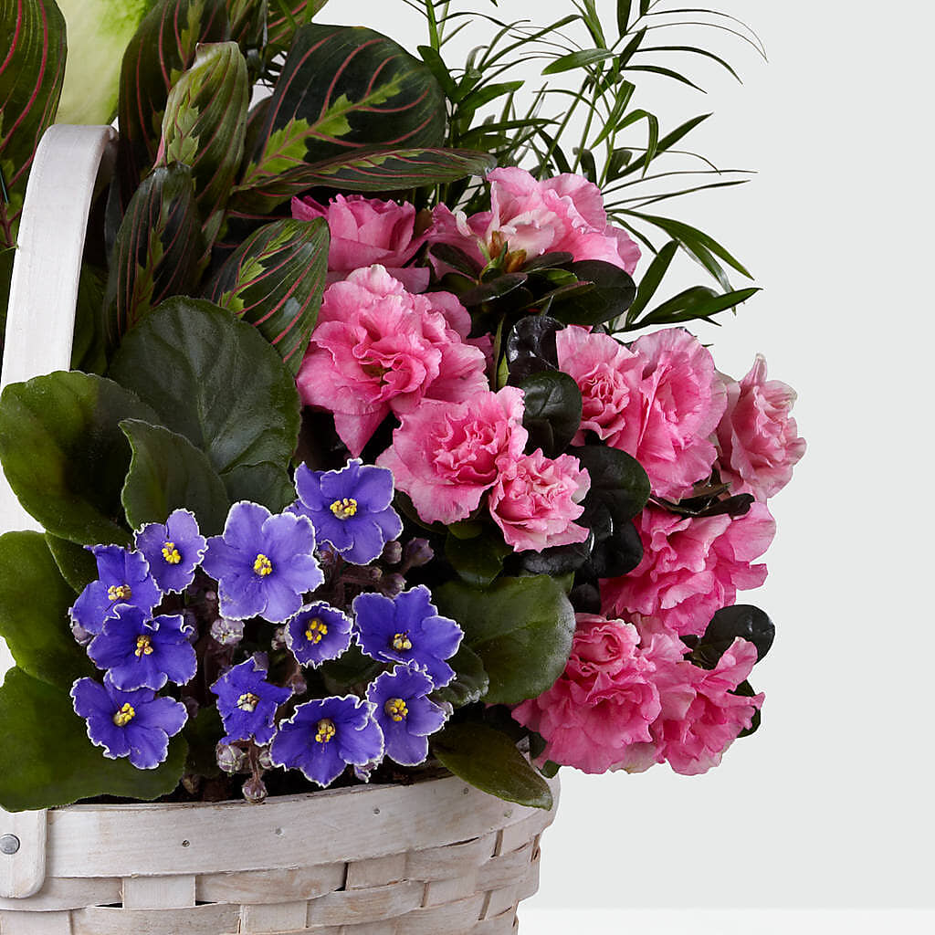 Peaceful Garden Planter – RUTH'S FLOWERS AND GIFTS, Marshfield MO
