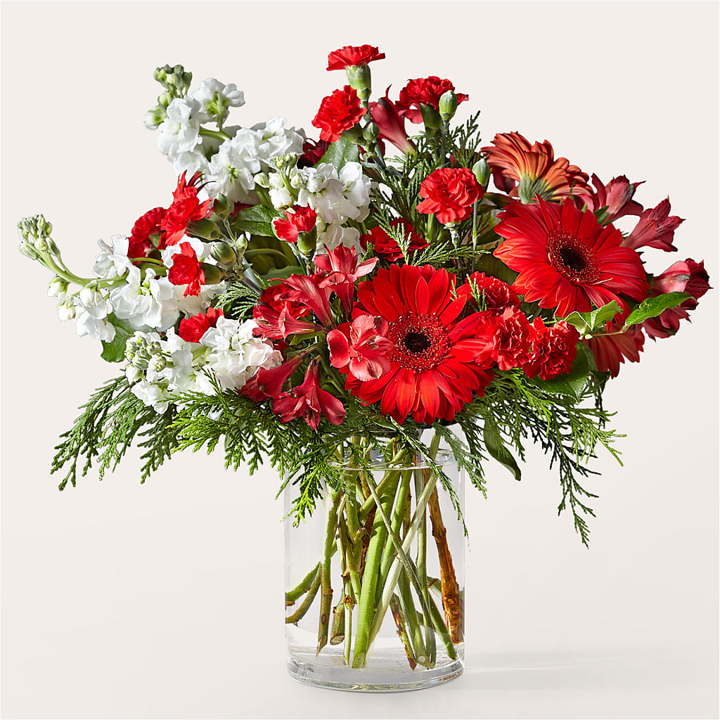 Holidaisy Bouquet – RUTH'S FLOWERS AND GIFTS, Marshfield MO