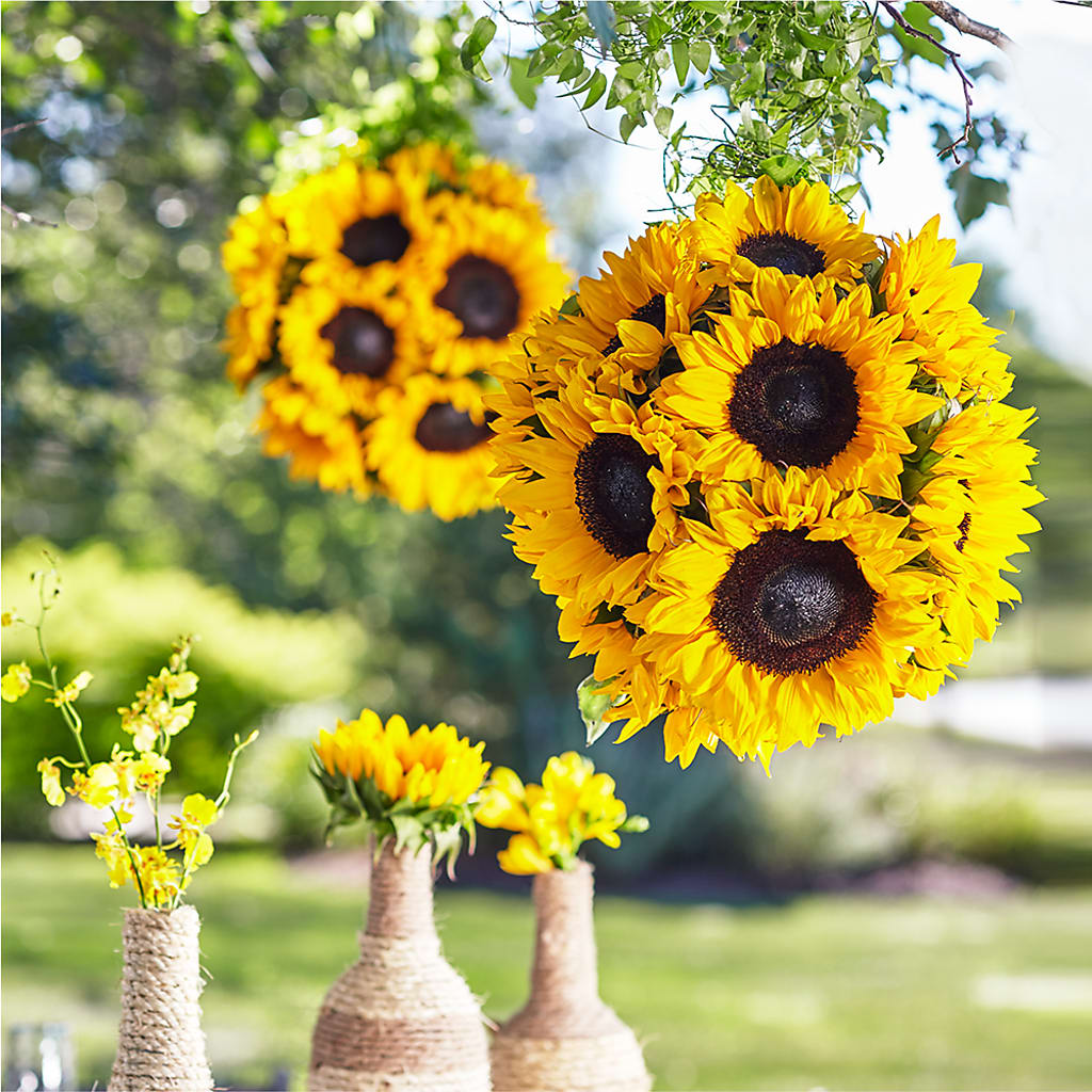 Sublime Garden Hanging Arrangement – RUTH'S FLOWERS AND GIFTS, Marshfield MO