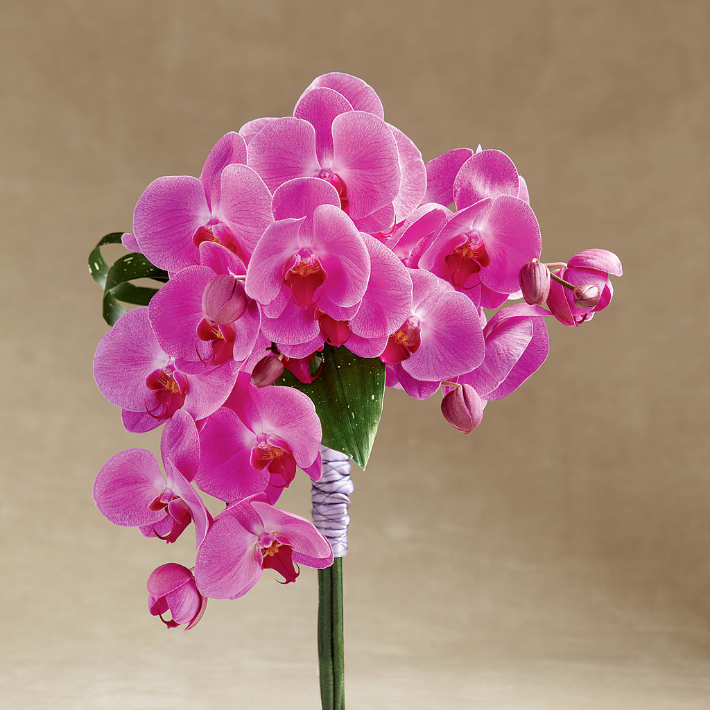 Glorious Bouquet – RUTH'S FLOWERS AND GIFTS, Marshfield MO