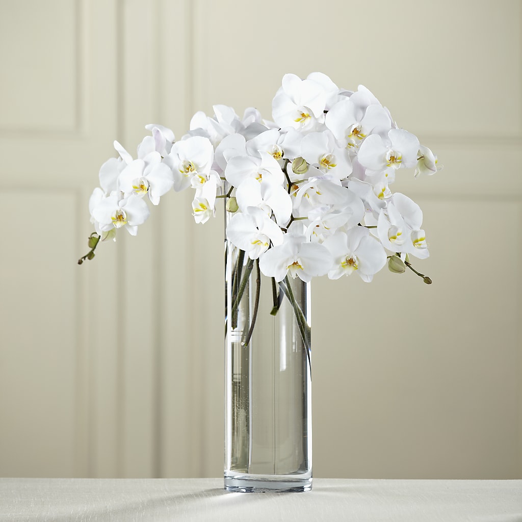 White Phalaenopsis Bouquet – RUTH'S FLOWERS AND GIFTS, Marshfield MO