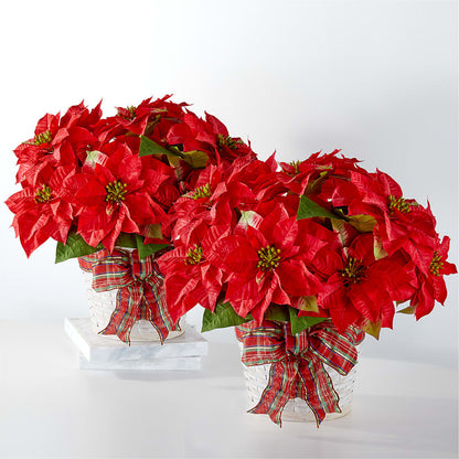 Happiest Holidays Poinsettia Bundle – RUTH'S FLOWERS AND GIFTS, Marshfield MO