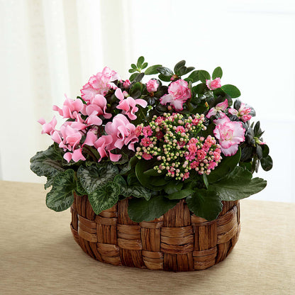 Pink Assortment – RUTH'S FLOWERS AND GIFTS, Marshfield MO