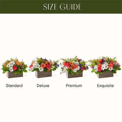 Oopsie Daisy Box Bouquet – RUTH'S FLOWERS AND GIFTS, Marshfield MO