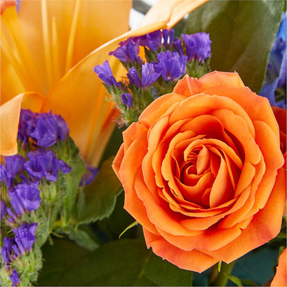 Radiant Citrus Box Bouquet – RUTH'S FLOWERS AND GIFTS, Marshfield MO