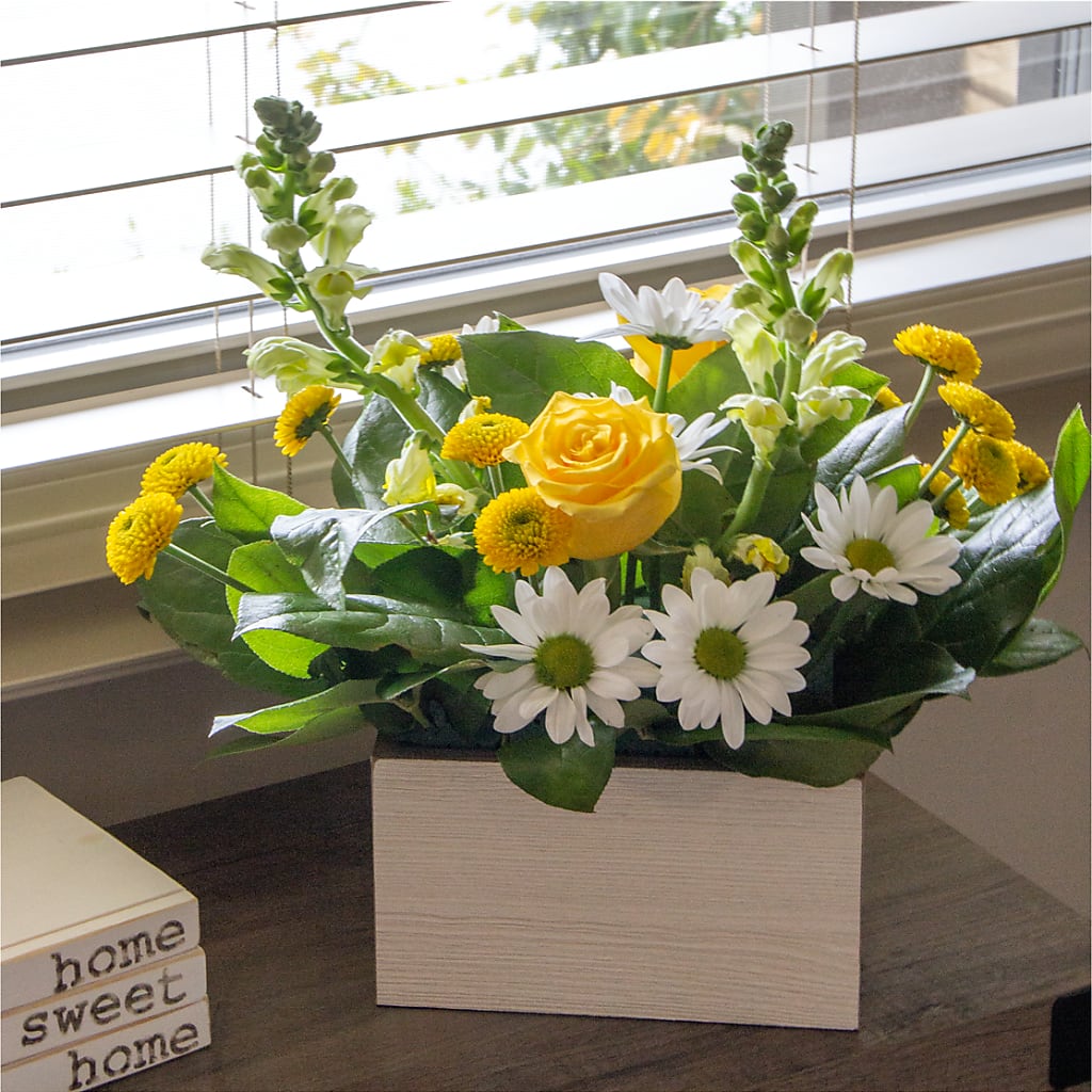 Sun Salutation Box Bouquet – RUTH'S FLOWERS AND GIFTS, Marshfield MO