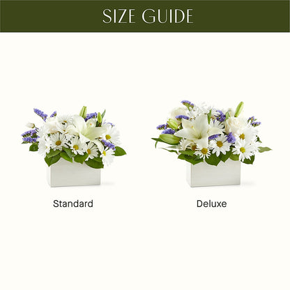 Beyond Blue Box Bouquet – RUTH'S FLOWERS AND GIFTS, Marshfield MO