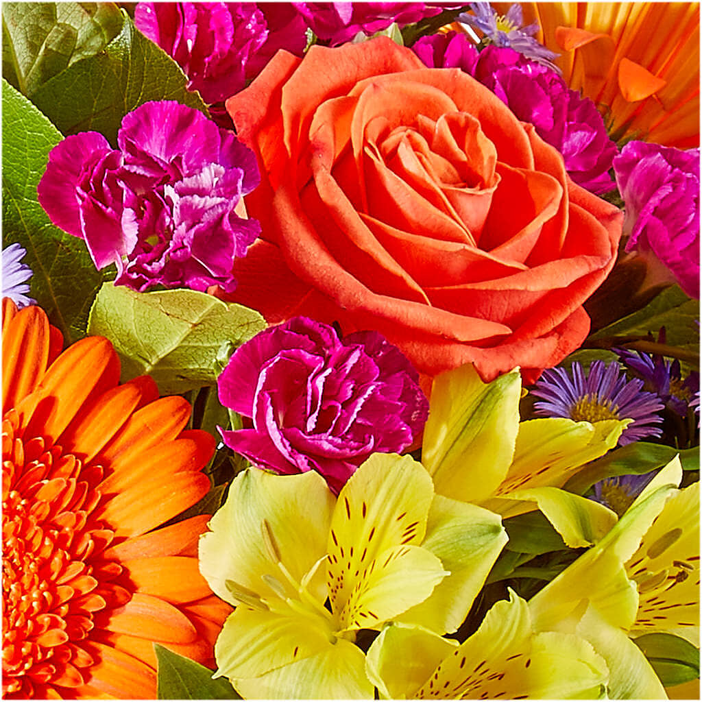 Tricks & Treats Pumpkin – RUTH'S FLOWERS AND GIFTS, Marshfield MO