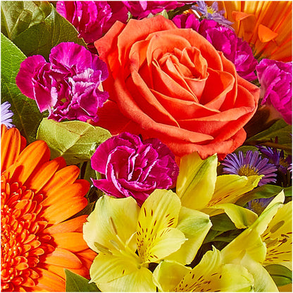 Tricks & Treats Pumpkin – RUTH'S FLOWERS AND GIFTS, Marshfield MO