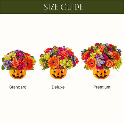 Tricks & Treats Pumpkin – RUTH'S FLOWERS AND GIFTS, Marshfield MO