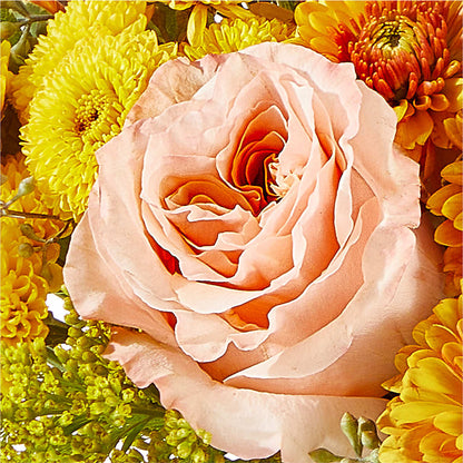 Peachy Pumpkin – RUTH'S FLOWERS AND GIFTS, Marshfield MO