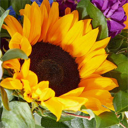 Catching Rays Bouquet – RUTH'S FLOWERS AND GIFTS, Marshfield MO