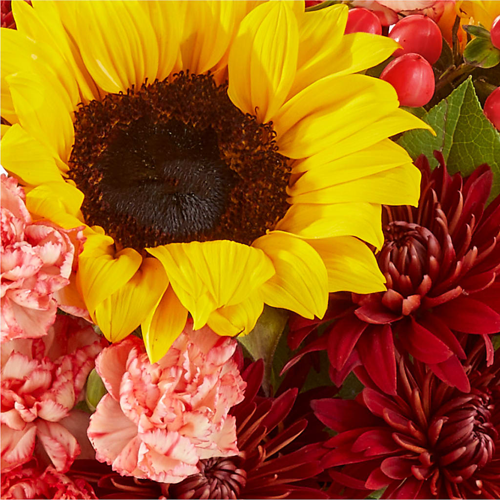 Fresh Cider Bouquet – RUTH'S FLOWERS AND GIFTS, Marshfield MO