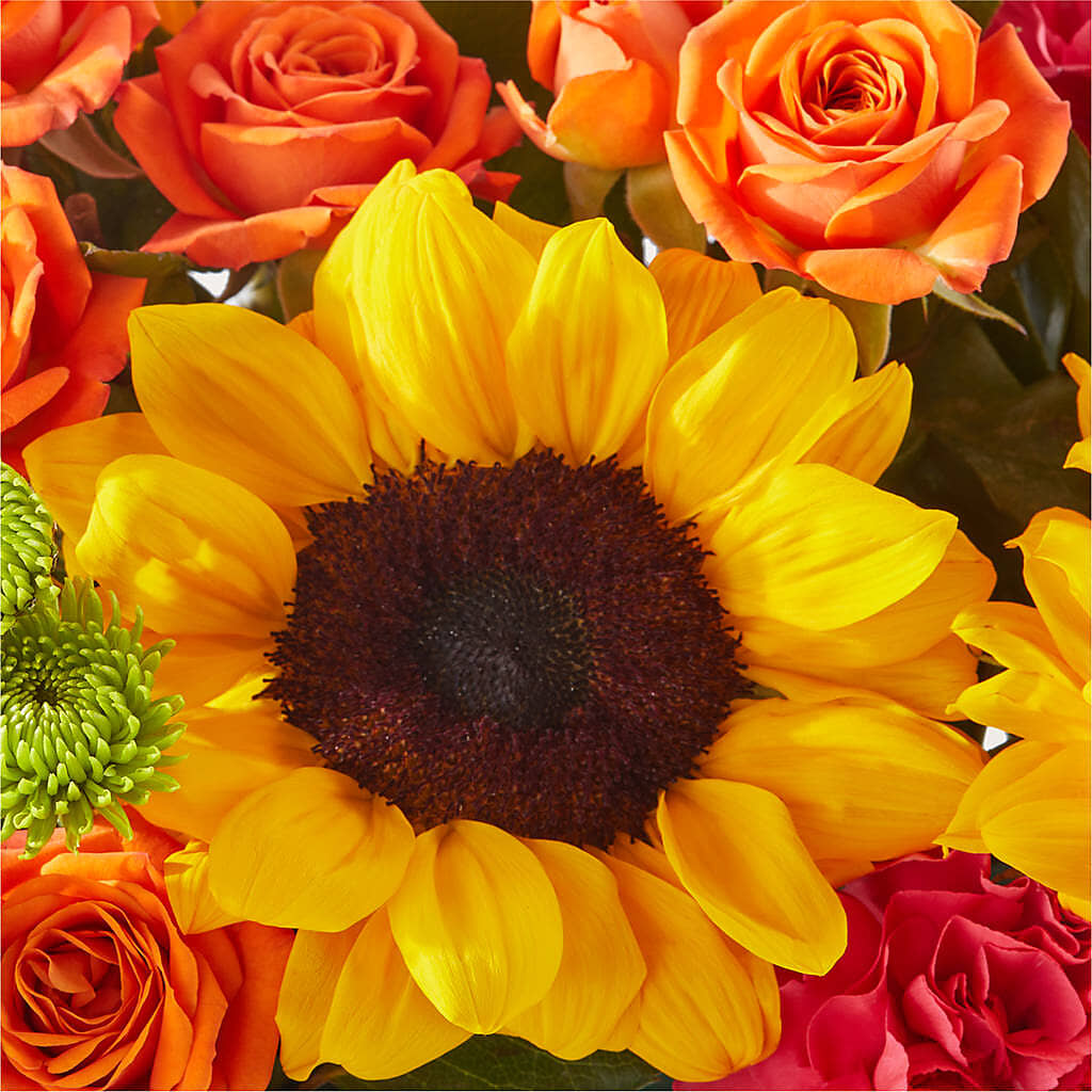 Sun-drenched Blooms Box Bouquet – RUTH'S FLOWERS AND GIFTS, Marshfield MO