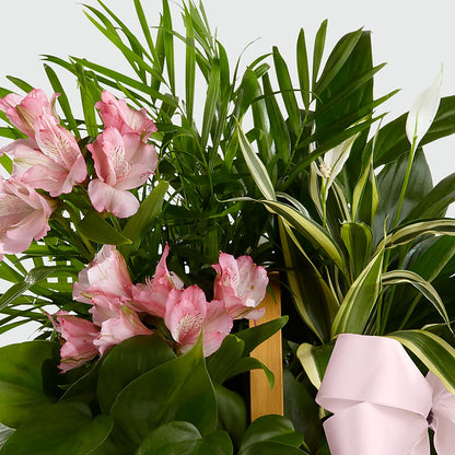Living Spirit Dishgarden – RUTH'S FLOWERS AND GIFTS, Marshfield MO