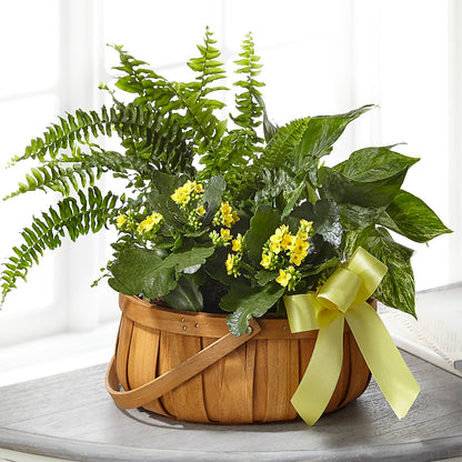Always Dear Dishgarden – RUTH'S FLOWERS AND GIFTS, Marshfield MO