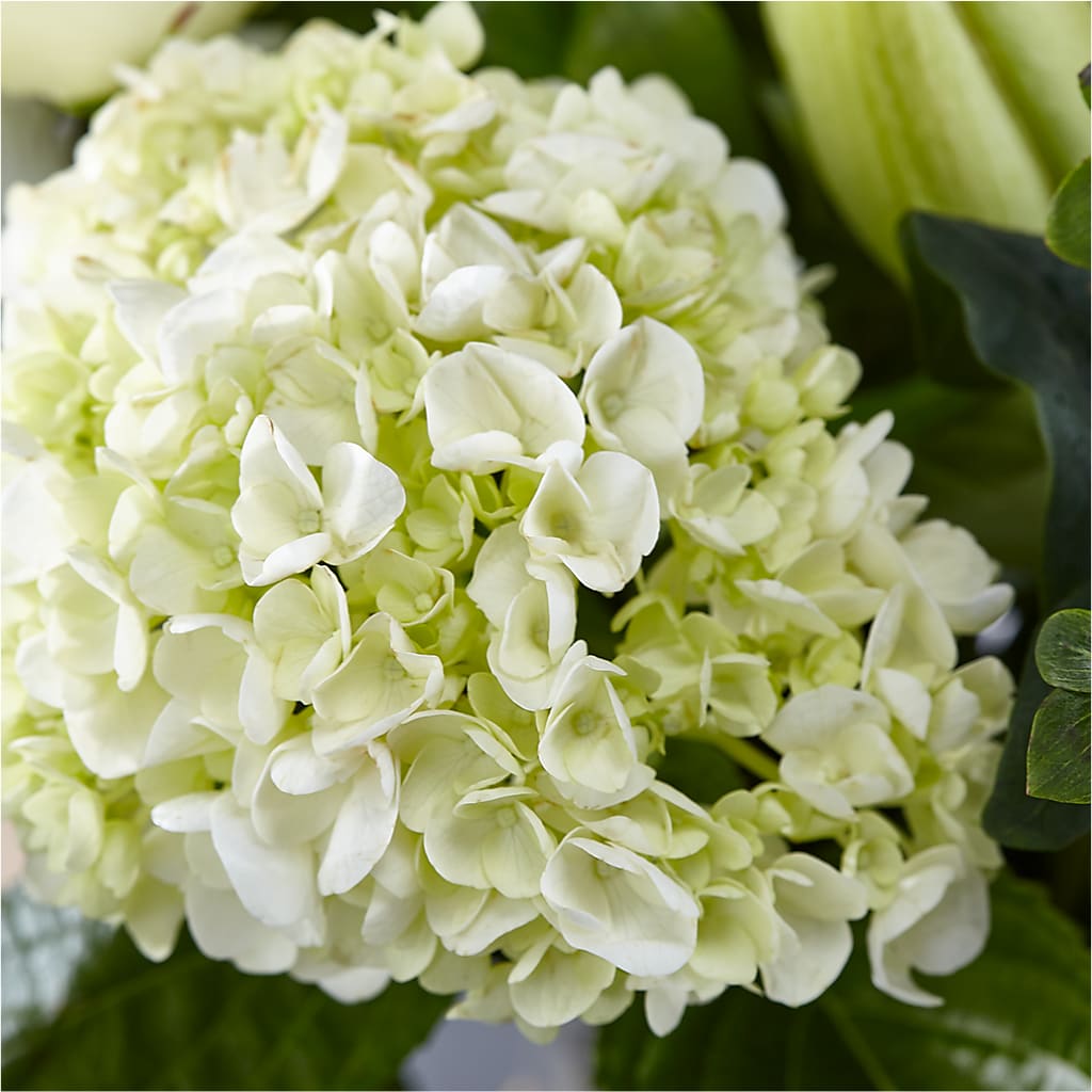 Classic Ivory – A Florist Original – RUTH'S FLOWERS AND GIFTS, Marshfield MO