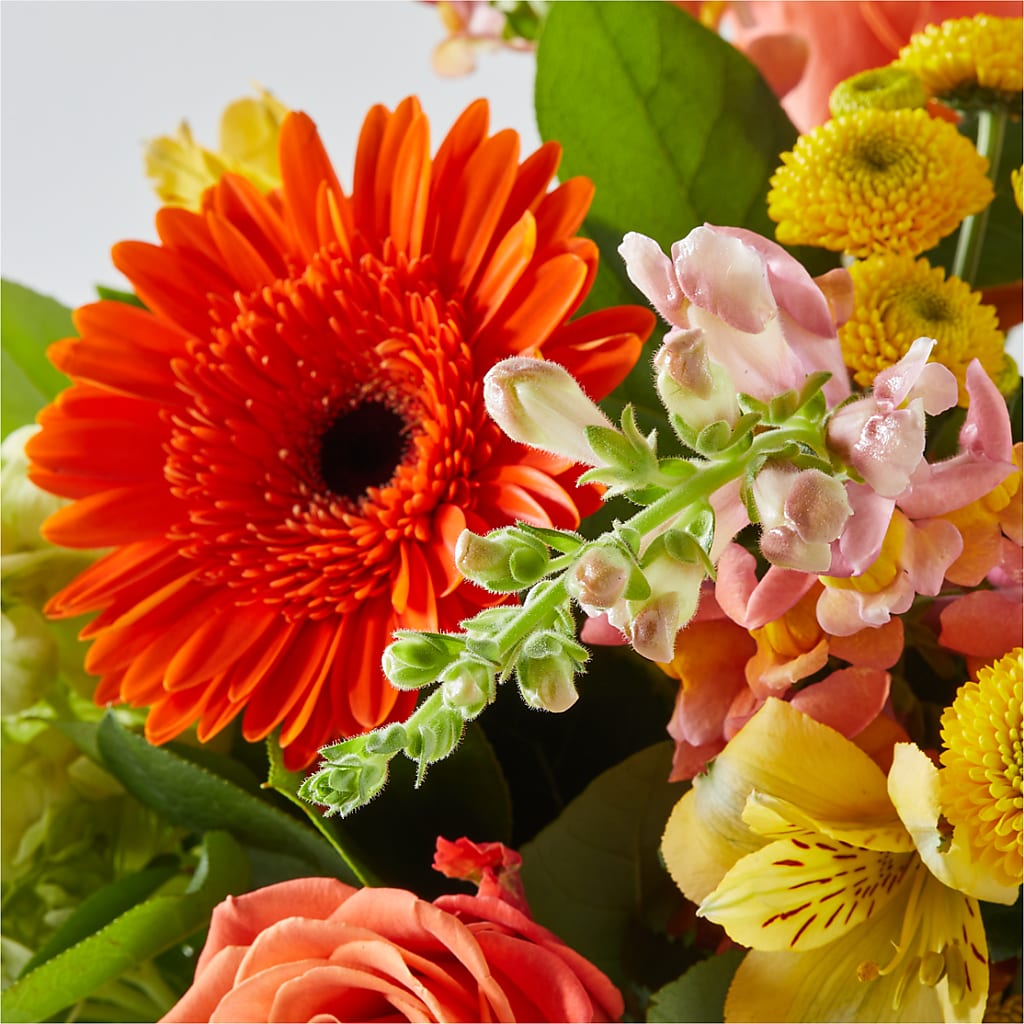 Autumn Sunshine Bouquet – RUTH'S FLOWERS AND GIFTS, Marshfield MO