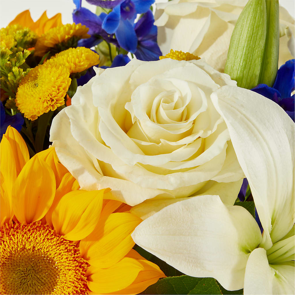 Stargazing Bouquet – RUTH'S FLOWERS AND GIFTS, Marshfield MO