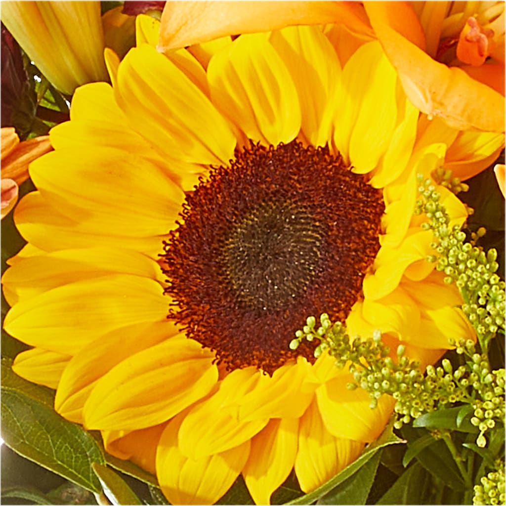 Seasons Change Bouquet – RUTH'S FLOWERS AND GIFTS, Marshfield MO
