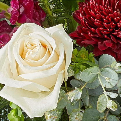 Cranberry Fizz Bouquet – RUTH'S FLOWERS AND GIFTS, Marshfield MO