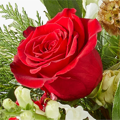 Deck the Halls Bouquet – RUTH'S FLOWERS AND GIFTS, Marshfield MO