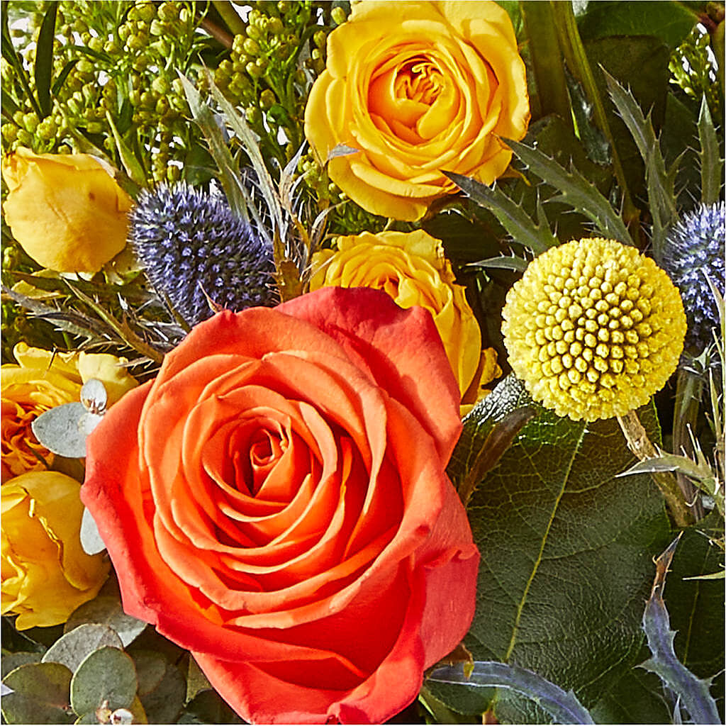Disco Bouquet – RUTH'S FLOWERS AND GIFTS, Marshfield MO