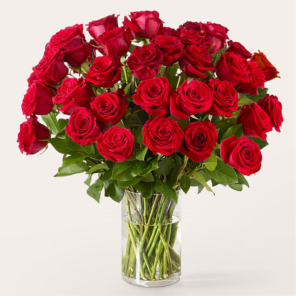 The One Red Rose Bouquet – RUTH'S FLOWERS AND GIFTS, Marshfield MO