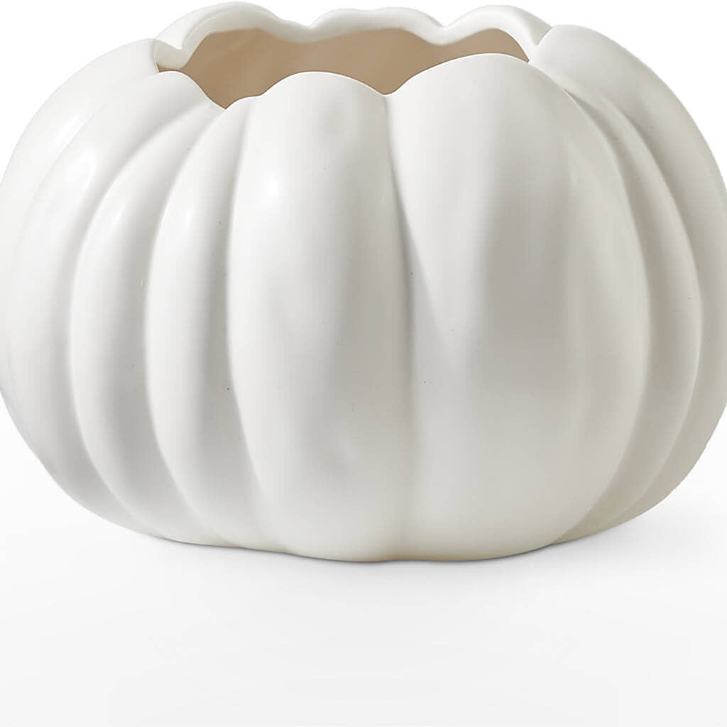 Autumn Air Pumpkin Bouquet – RUTH'S FLOWERS AND GIFTS, Marshfield MO